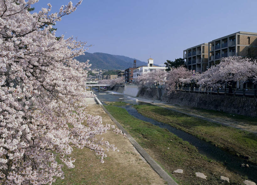 无人,横图,室外,白天,正面,旅游,度假,海浪,海洋,美景,沙滩,植物,爱知县,日本,亚洲,沙子,海岸,景观,浪花,水平线,灯塔,塔楼,海平线,沙地,娱乐,树,树木,绿色,自然,海水,享受,休闲,景色,放松,生长,成长,自然风光,海景,东亚,本州,本州岛,日本国,中部地方,爱知,大海,风浪,海,海水的波动,海滩,近岸浪,涌浪,彩图