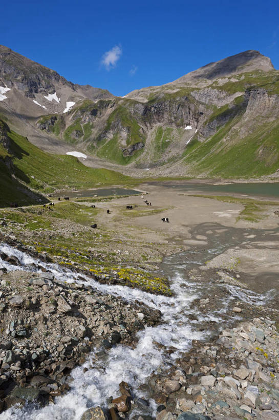 无人,竖图,俯视,室外,白天,旅游,度假,草地,草坪,河流,美景,山,山脉,水,植物,奥地利,欧洲,河水,景观,山峰,水流,云,云朵,山峦,云彩,娱乐,草,树,树木,蓝色,绿色,白云,蓝天,天空,小溪,自然,群山,天,溪水,享受,休闲,景色,放松,生长,晴朗,成长,自然风光,中欧,奥地利共和国,大格洛克纳山,格洛克纳山,晴空,彩图,高角度拍摄