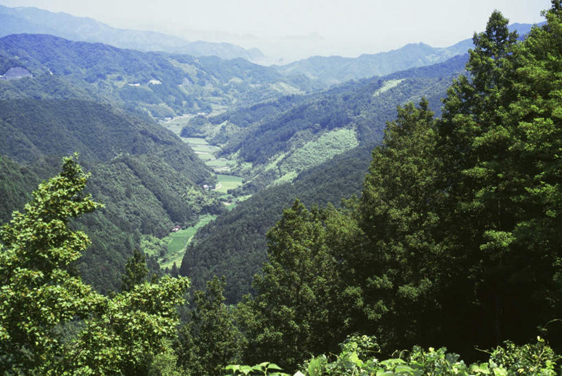 无人,横图,俯视,室外,白天,旅游,度假,美景,森林,山,山脉,树林,植物,日本,亚洲,阴影,光线,影子,景观,山峰,山峦,娱乐,树,树木,蓝色,绿色,蓝天,天空,阳光,自然,群山,天,享受,休闲,景色,放松,生长,晴朗,成长,自然风光,东亚,万里无云,高知,日本国,高知县,四国地方,四国,四国岛,晴空,晴空万里,彩图,高角度拍摄