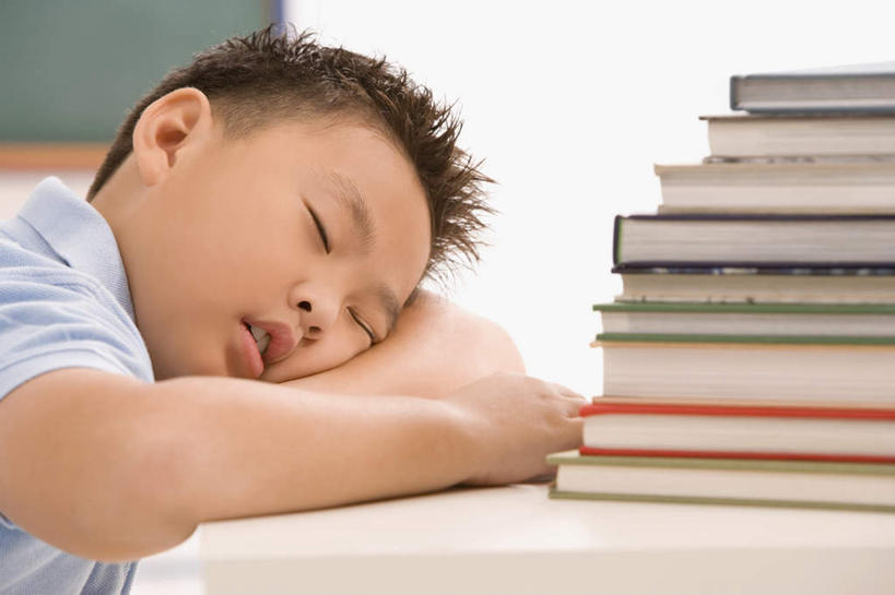 东方人,儿童,一个人,学生,学校,闭眼,睡,横图,室内,白天,侧面,纯洁,桌子,书籍,亚洲,仅一个男性,仅一个人,一堆,许多,阴影,堆叠,堆积,服装,反射,影子,墙,休闲装,黄种人,书桌,校园,墙壁,墙面,小孩,衣服,蓝色,白色,课桌,黑板,趴着,仅一个小孩,休闲,教室,休闲服,可爱,童年,童趣,服饰,堆,童真,烂漫,无邪,耐磨,教学黑板,天真,男孩,男人,男性,亚洲人,孩子,书,图书,闭眼睛,闭着眼,闭着眼睛,困,困觉,趴,寝息,睡觉,半身,彩图,男生
