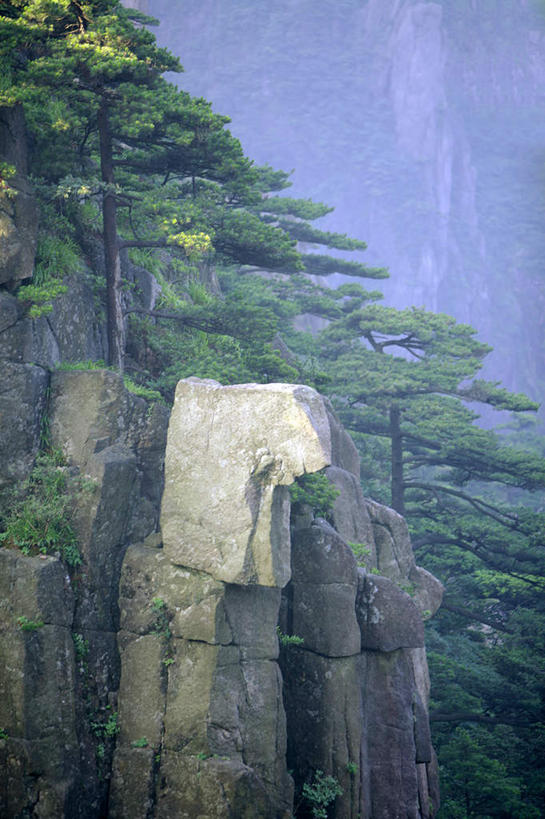 无人,竖图,俯视,航拍,室外,白天,旅游,度假,黄山,石头,美景,山,山脉,植物,雾,松树,中国,亚洲,朦胧,模糊,石子,景观,山峰,山峦,娱乐,树,树木,绿色,自然,群山,享受,休闲,景色,放松,生长,成长,迷雾,鸟瞰,自然风光,坚定,东亚,安徽,安徽省,黄山市,中华人民共和国,华东地区,长寿,皖,贞洁,黟山,石块,岩石,大雾,彩图,高角度拍摄,世界地质公园,天下第一奇山