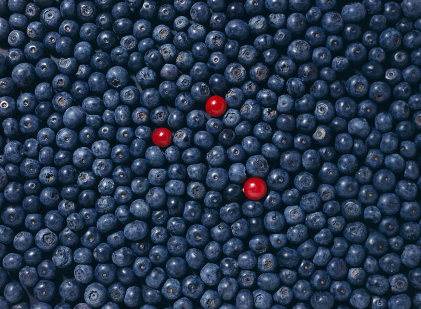 无人,竖图,俯视,室内,特写,白天,浆果,蓝莓,静物,水果,一堆,许多,堆叠,堆积,新鲜,生食,食品,果实,食物,红色,蓝色,有机食品,绿色食品,堆,温普,牙疙瘩,越橘,山都柿,蓝浆果,蓝靛果,彩图,高角度拍摄