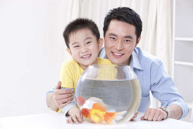 儿童,成年人,中年人,两个人,家庭,父母,父亲,儿子,家,笑,微笑,露齿笑,横图,室内,正面,快乐,幸福,纯洁,桌子,宠物,玻璃,北京,中国,亚洲,金鱼,鱼缸,休闲装,鱼类,玻璃制品,小孩,动物,两只,健康,温暖,温馨,父子,一家人,可爱,乐趣,童年,童趣,摄影,生活方式,和睦,享乐,肖像,童真,东亚,东亚人,烂漫,无邪,天真,男孩,男人,中年男性,亚洲人,中国人,孩子,半身,彩图,爱,融洽