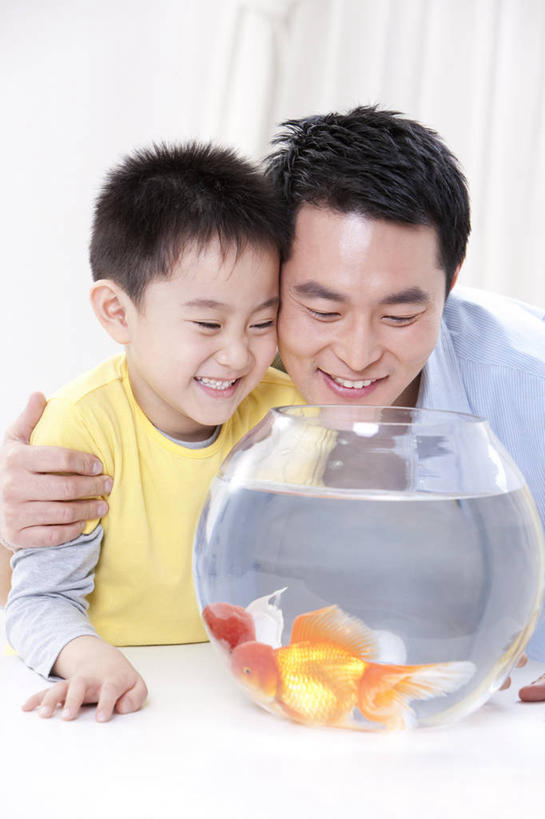 儿童,成年人,中年人,两个人,家庭,父母,父亲,儿子,家,笑,微笑,露齿笑,竖图,室内,正面,快乐,幸福,纯洁,桌子,宠物,玻璃,北京,中国,亚洲,金鱼,鱼缸,休闲装,鱼类,玻璃制品,小孩,动物,两只,健康,温暖,温馨,父子,一家人,可爱,乐趣,童年,童趣,摄影,生活方式,观看,和睦,享乐,童真,东亚,东亚人,烂漫,无邪,天真,男孩,男人,中年男性,亚洲人,中国人,孩子,半身,彩图,爱,融洽