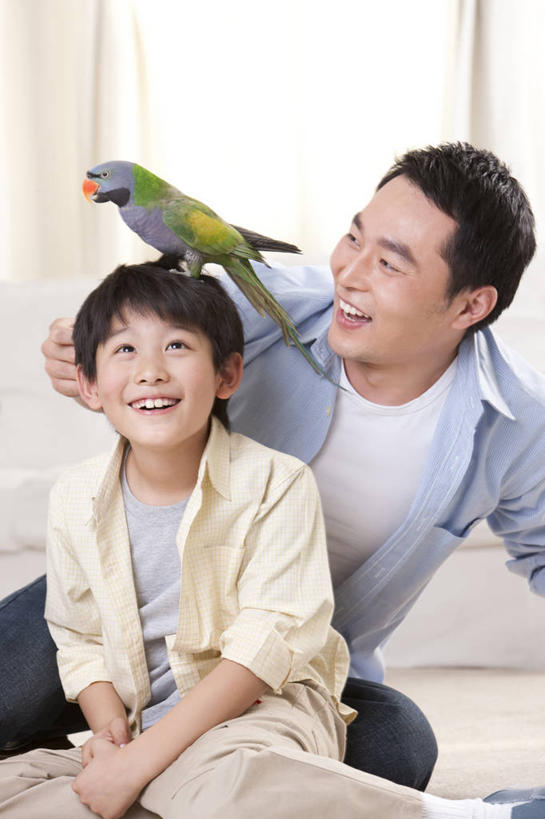 儿童,中年人,两个人,家庭,父母,父亲,儿子,家,笑,微笑,露齿笑,竖图,室内,正面,快乐,幸福,纯洁,宠物,鹦鹉,北京,中国,亚洲,鸟类,休闲装,小孩,向上看,温暖,温馨,父子,一家人,可爱,童年,童趣,搭,头顶,摄影,生活方式,幽默,和睦,起居室,搭着,童真,东亚,东亚人,烂漫,无邪,天真,男孩,男人,中年男性,亚洲人,中国人,孩子,彩图,爱,融洽