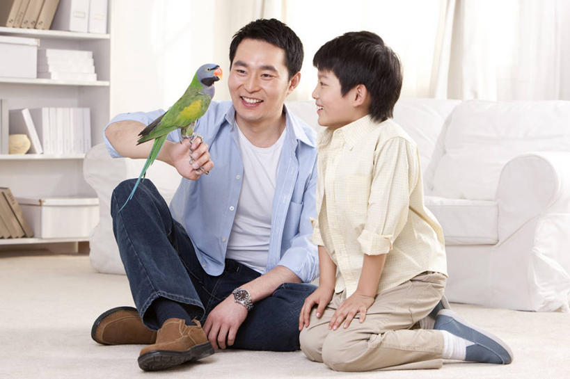 儿童,中年人,两个人,家庭,父母,父亲,儿子,家,坐,笑,微笑,露齿笑,横图,室内,正面,快乐,幸福,纯洁,宠物,鹦鹉,北京,中国,亚洲,鸟类,拿着,休闲装,小孩,温暖,温馨,父子,一家人,可爱,童年,童趣,搭,摄影,生活方式,和睦,起居室,搭着,童真,东亚,东亚人,烂漫,无邪,天真,男孩,男人,中年男性,亚洲人,中国人,孩子,跪着,彩图,爱,融洽,好奇心