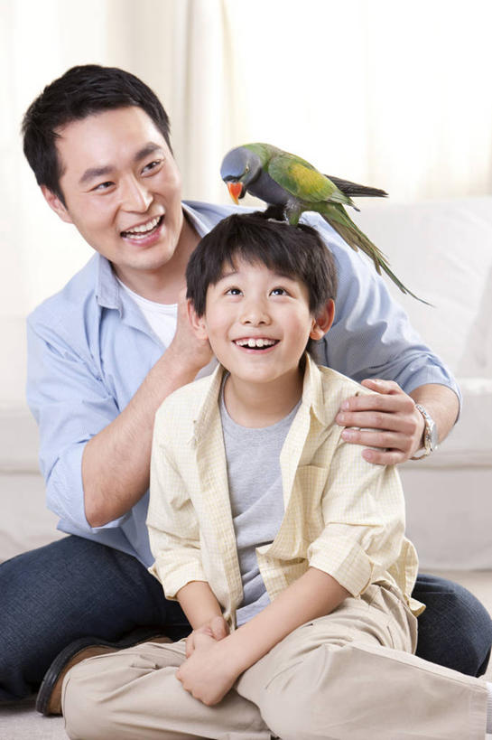 儿童,中年人,两个人,家庭,父母,父亲,儿子,家,笑,微笑,露齿笑,竖图,室内,正面,快乐,幸福,纯洁,宠物,鹦鹉,北京,中国,亚洲,鸟类,休闲装,小孩,向上看,温暖,温馨,父子,一家人,可爱,童年,童趣,搭,头顶,摄影,生活方式,幽默,和睦,起居室,搭着,童真,东亚,东亚人,烂漫,无邪,天真,男孩,男人,中年男性,亚洲人,中国人,孩子,彩图,爱,融洽