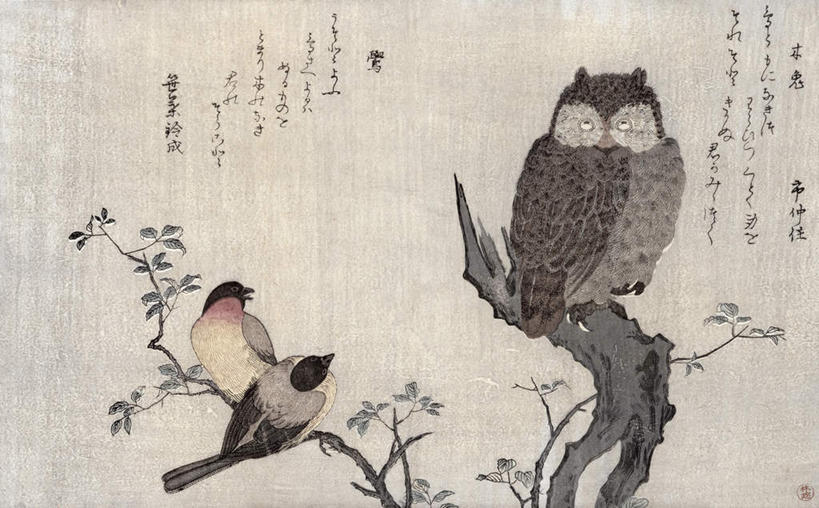 无人,站,横图,室内,白天,白色背景,正面,绘画,美景,猫头鹰,鸟,野生动物,日本,亚洲,艺术,日文,鸟类,标志,文字,字符,景观,古典,注视,文化,标识,一只,自然,动物,工艺品,观察,看,品味,站着,两只,景色,观看,美术,察看,高雅,关注,自然风光,凶猛,东亚,日本国,美学,日语,红腹灰雀,燕雀,残暴,凶残,鸮,枭,站立,彩图,全身