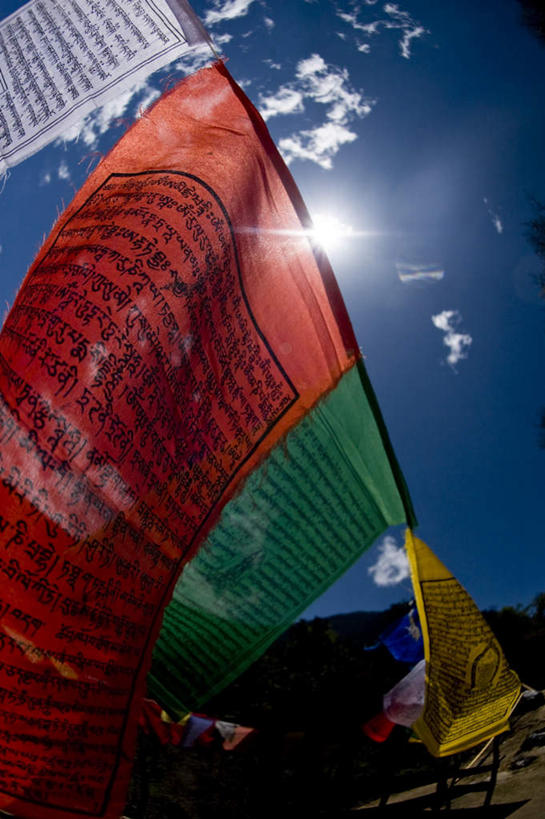 无人,竖图,室外,特写,白天,广角镜头,鱼眼镜头,仰视,旅游,度假,草地,草坪,美景,植物,不丹,亚洲,吊挂,悬挂,阴影,光线,影子,景观,云,云朵,首都,挂,云彩,娱乐,经幡,草,树,树木,蓝色,绿色,白云,蓝天,天空,阳光,自然,天,享受,休闲,景色,放松,生长,成长,自然风光,南亚,风马旗,不丹王国,廷布,彩图,低角度拍摄