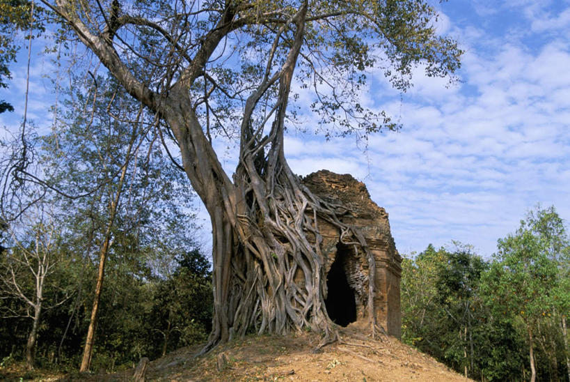无人,横图,室外,白天,正面,旅游,度假,名胜古迹,植物,标志建筑,地标,建筑,叶子,柬埔寨,亚洲,阴影,遗迹,光线,影子,洞,树洞,云,云朵,绿叶,云彩,古迹,文物,娱乐,建设,古建筑,树,树木,蓝色,绿色,白云,蓝天,天空,阳光,自然,天,享受,休闲,嫩叶,旅游胜地,放松,洞穴,东南亚,生长,晴朗,成长,古文明,穴,高棉,柬埔寨王国,吉蔑,叶,叶片,晴空,彩图
