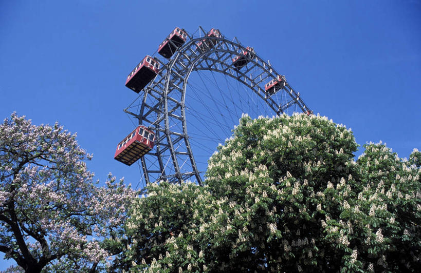 无人,横图,室外,白天,仰视,度假,游戏,美景,植物,城市风光,城市,奥地利,欧洲,阴影,盛开,光线,影子,景观,摩天轮,板栗树,玩,花蕾,娱乐,花,花瓣,花朵,鲜花,树,树木,蓝色,绿色,蓝天,天空,阳光,自然,天,花苞,花蕊,享受,休闲,景色,放松,游乐设施,生长,晴朗,成长,活动,发泄,消遣,智力,中欧,万里无云,费里斯大转轮,宣泄,奥地利共和国,栗树,游艺设施,晴空,晴空万里,玩耍,嬉戏,彩图,低角度拍摄,栗子树