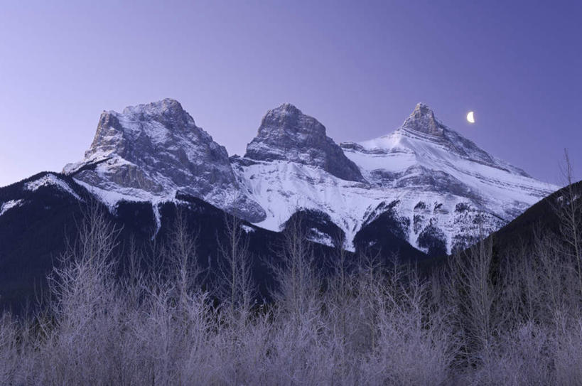 无人,横图,室外,白天,仰视,旅游,度假,美景,山,雪,雪山,植物,大雪,加拿大,阴影,光线,影子,冰,积雪,景观,山峰,雪景,冬季,冬天,山峦,娱乐,树,树木,蓝色,绿色,蓝天,天空,阳光,自然,天,享受,休闲,景色,放松,寒冷,生长,晴朗,成长,冰冷,北美,北美洲,自然风光,美洲,阿尔伯塔省,万里无云,阿尔伯塔,北亚美利加洲,亚美利加洲,严寒,冰凉,酷寒,凛冽,凛凛,极冷,艾伯塔,艾伯塔省,晴空,晴空万里,彩图,低角度拍摄