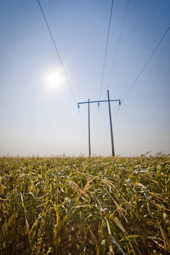 无人,竖图,室外,白天,仰视,旅游,度假,玉米,美景,太阳,植物,加拿大,阴影,电力,光线,棒子,电线,线,影子,景观,云,云朵,玉蜀黍,电能,线路,云彩,娱乐,粗粮,蓝色,绿色,白云,蓝天,天空,阳光,自然,天,享受,休闲,景色,放松,生长,晴朗,成长,电,电源,电源线,苞米,北美,北美洲,自然风光,美洲,苞芦,能量,苞谷,北亚美利加洲,亚美利加洲,包谷,大蜀黍,番麦,薏米包,玉高粱,玉麦,珍珠米,萨省,萨斯喀彻温省,晴空,彩图,低角度拍摄