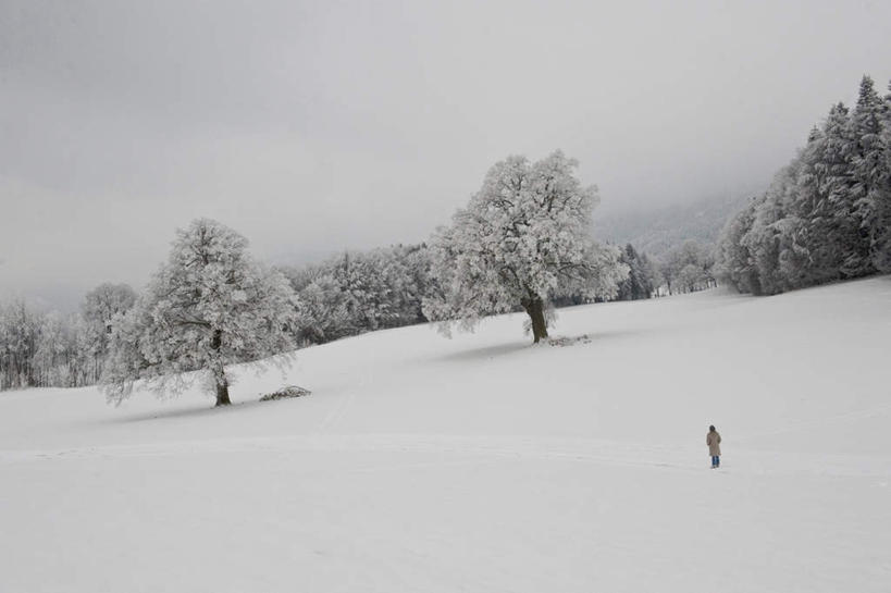 西方人,一个人,站,横图,室外,白天,正面,旅游,度假,美景,雪,植物,大雪,德国,欧洲,欧洲人,仅一个男性,仅一个人,服装,积雪,景观,雪景,冬季,冬天,霜,注视,休闲装,娱乐,树,树木,仅一个年轻男性,衣服,绿色,自然,观察,看,站着,享受,休闲,休闲服,景色,放松,寒冷,服饰,生长,成长,观看,察看,西欧,关注,自然风光,德意志联邦共和国,严寒,巴伐利亚,巴伐利亚州,拜恩州,拜恩自由州,特格尔恩湖,男人,男性,年轻男性,白种人,站立,彩图,全身