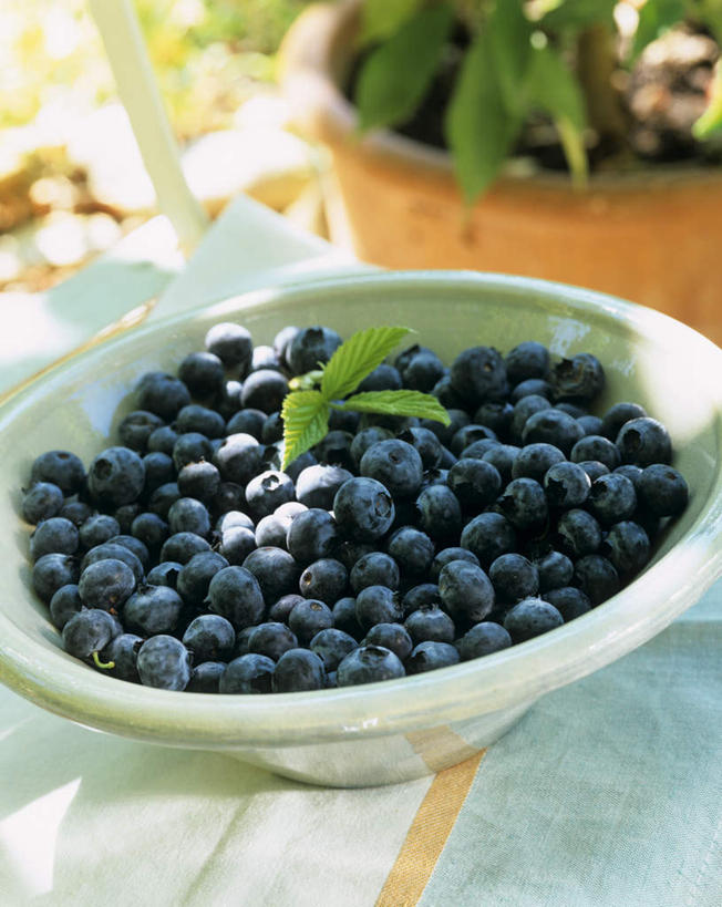 无人,竖图,俯视,室内,特写,白天,桌面,桌子,浆果,蓝莓,水果,叶子,一堆,许多,阴影,堆叠,堆积,朦胧,模糊,新鲜,装饰,光线,木制,影子,陶瓷,生食,食品,果实,绿叶,陶瓷制品,很多,食物,一只,蓝色,木制品,容器,碗,嫩叶,有机食品,绿色食品,储藏,堆,华丽,修饰,点缀,储存,衬托,美观,雅致,雅观,温普,牙疙瘩,越橘,叶,叶片,山都柿,蓝浆果,蓝靛果,彩图,高角度拍摄,贮存