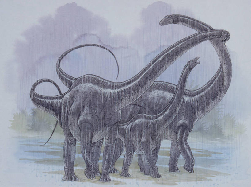 无人,横图,插画,室外,数码,科技,雨,野生动物,三只,阴影,网络,天气,高光,几何,计算机图形,合成,图画,画,自然,黄昏,动物,恐龙,环境,电脑合成图,数码合成图,合成图,关爱,漫画,写实,具体,具象,侏罗纪,古代史,地质学,梁龙,史前时代,彩图,过去,古生物学