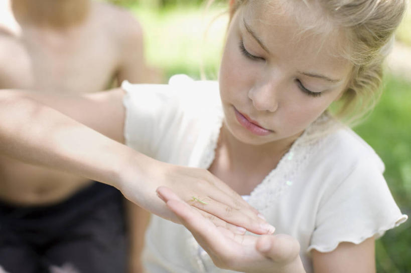 西方人,儿童,脸,头,脸颊,两个人,兄弟,姐妹,站,横图,俯视,室外,特写,白天,正面,探险,纯洁,欧洲,南非,欧洲人,检查,昆虫,首都,拿着,注视,休闲装,肩膀,小孩,自然,动物,夏天,观察,看,爬,可爱,探索,童年,童趣,摄影,观看,察看,专心,关注,童真,烂漫,无邪,开普敦,尺蠖,天真,男孩,女孩,白种人,孩子,头部,脸部,脸蛋,面部,彩图,高角度拍摄,好奇心