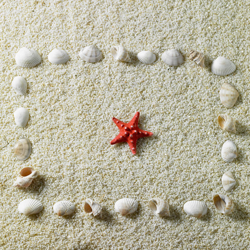 无人,竖图,俯视,室内,白天,沙滩,海星,一排,许多,整齐,并列,并排,沙子,海岸,海螺,沙地,很多,海洋生物,排列,动物,生物,摄影,影棚,软体动物,峨螺,队列,水生动物,平行,水生物,海底动物,棘皮动物门,海滩,星鱼,彩图,高角度拍摄,全身,影棚拍摄,拍摄,红海星