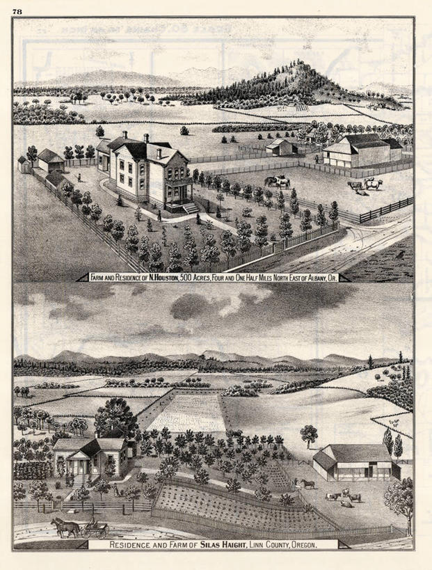 农场,竖图,插画,室外,数码,科技,美景,路,阴影,网络,房屋,景观,田地,高光,几何,计算机图形,合成,图画,历史,画,棚,自然,动物,景色,牲畜,古董,电脑合成图,数码合成图,合成图,自然风光,漫画,俄勒冈州,写实,具体,具象,农舍,彩图