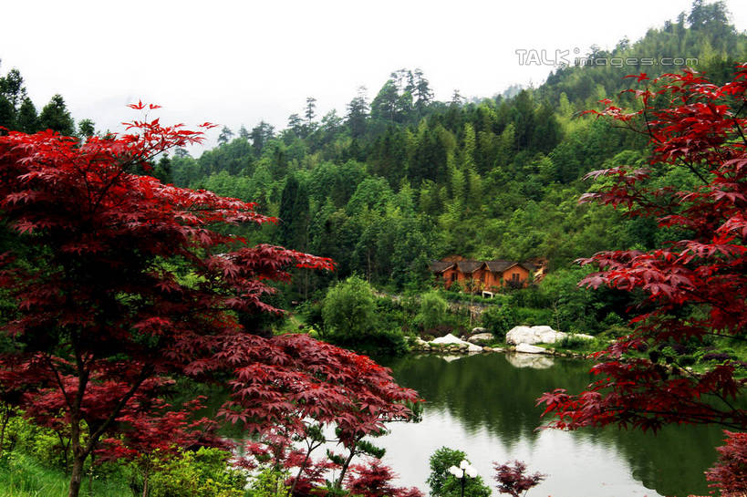 无人,横图,俯视,室外,白天,旅游,度假,草地,草坪,河流,石头,美景,山,树林,水,植物,叶子,井冈山,中国,亚洲,许多,阴影,光线,石子,影子,亭子,河水,景观,山峰,水流,云,云朵,枫叶,枯叶,落叶,山峦,云彩,娱乐,江西,草,树,树木,黄色,红色,蓝色,绿色,白云,蓝天,天空,阳光,自然,凉亭,天,享受,休闲,景色,放松,生长,晴朗,成长,枫树叶,自然风光,东亚,江西省,中华人民共和国,华东地区,赣,革命,吉安,吉安市,革命根据地,叶,叶片,石块,岩石,晴空,彩图,高角度拍摄,bjzqp1