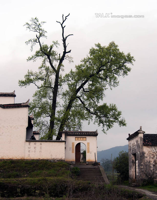 无人,竖图,室外,白天,正面,旅游,度假,草地,草坪,美景,山,植物,楼梯,门,道路,路,中国,对联,亚洲,标志,文字,字符,阶梯,墙,景观,山峰,乌云,云,阴天,云朵,小路,交通,山峦,云彩,娱乐,标识,江西,婺源,斑驳,墙壁,墙面,台阶,草,树,树木,绿色,白色,天空,自然,门框,天,享受,休闲,汉字,景色,放松,乡间小路,生长,成长,昏暗,阴沉,中文,自然风光,东亚,江西省,中华人民共和国,华东地区,国文,华文,赣,婺源县,上饶,上饶市,班驳,彩图,bjzqp1