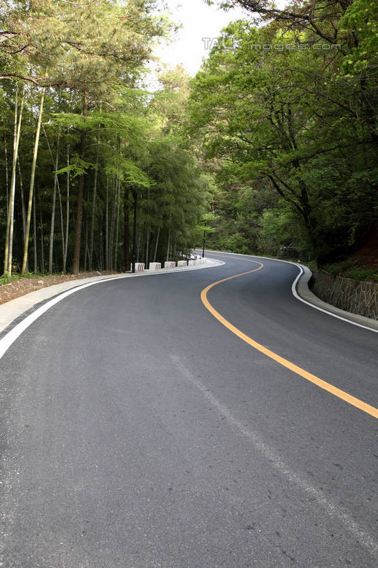无人,竖图,室外,白天,正面,旅游,度假,纯洁,美景,道路,路,公路,竹子,曲折,弯曲,景观,竹林,分界线,停车线,交通,娱乐,自然,享受,休闲,景色,放松,蜿蜒,车行道,车行道分界线,高雅,自然风光,标线,车行线,奉献,质朴,正直,担当,马路,竹,彩图,奋进,操守,四君子,岁寒三友,性坚,虚怀,虚心,善群,卓尔,shrj1