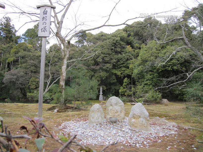 无人,横图,室外,白天,正面,钱,草地,草坪,石头,美景,树林,植物,日本,亚洲,一堆,许多,堆叠,堆积,节日,钱币,石子,景观,很多,文化,草,树,树木,绿色,自然,容器,碗,祈祷,健康,景色,许愿,金融,宗教,信仰,生长,经济,成长,纪念,储藏,堆,祈求,储存,自然风光,流通,贸易,东亚,日本国,平安,货币,现金,硬币,石块,彩图,贮存,shslj1