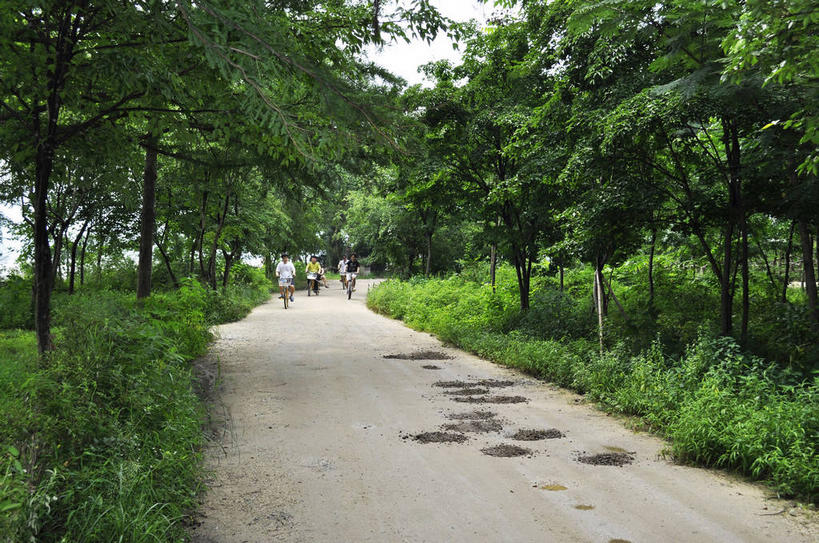 东方人,四个人,坐,横图,室外,白天,正面,旅游,度假,草地,草坪,美景,森林,树林,植物,道路,路,自行车,春川,南怡岛,韩国,亚洲,行人,游客,游人,握,服装,景观,小路,树桩,交通,休闲装,黄种人,娱乐,路人,旅客,车,脚踏车,草,树,树干,树木,骑,衣服,绿色,天空,自然,交通工具,天,骑车,享受,休闲,休闲服,木桩,景色,放松,握着,服饰,乡间小路,生长,成长,自然风光,载具,东亚,四辆,大韩民国,江原道,春川市,过客,男人,男性,年轻男性,亚洲人,坐着,彩图,全身,道,shslj1