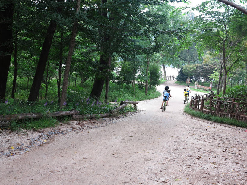 东方人,儿童,四个人,家庭,夫妻,母亲,父亲,女儿,儿子,坐,横图,室外,白天,爱情,纯洁,草地,草坪,树林,植物,道路,路,自行车,帽子,春川,南怡岛,韩国,亚洲,服装,曲折,弯曲,草帽,小路,交通,浪漫,休闲装,黄种人,车,脚踏车,草,树,树木,小孩,骑,背面,衣服,绿色,自然,交通工具,骑车,休闲,温暖,温馨,父女,父子,母女,母子,一家人,休闲服,恩爱,父爱,可爱,母爱,童年,童趣,恋人,服饰,双人自行车,蜿蜒,生长,成长,和睦,载具,童真,东亚,烂漫,无邪,大韩民国,江原道,春川市,天真,男孩,男人,男性,年轻男性,年轻女性,女孩,女人,女性,亚洲人,孩子,年轻人,夫妇,情侣,坐着,彩图,全身,伴侣,融洽,道,男生,女生,shslj1