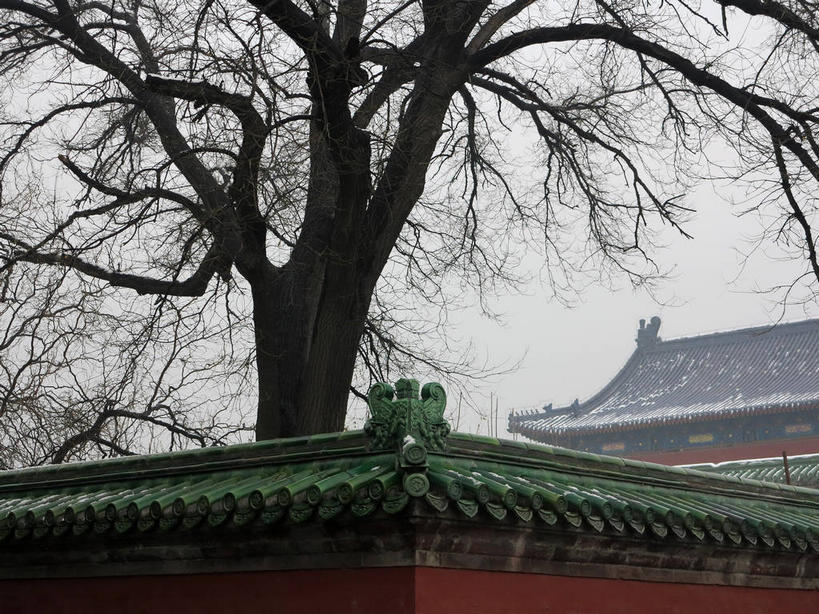 无人,天坛,宫殿,横图,室外,白天,仰视,旅游,度假,名胜古迹,树林,雪,植物,雾,大雪,标志建筑,地标,建筑,北京,中国,亚洲,节日,朦胧,模糊,遗迹,瓦片,墙,屋檐,积雪,乌云,雪景,云,阴天,云朵,冬季,冬天,首都,云彩,古迹,文化,文物,娱乐,建设,古建筑,檐,墙壁,墙面,树,树木,红色,绿色,天空,自然,天,祈祷,祈福,享受,休闲,健康,旅游胜地,放松,寒冷,许愿,宗教,信仰,生长,成长,纪念,祈求,迷雾,宫廷,昏暗,阴沉,祭天,古文明,东亚,中华人民共和国,东城区,北京市,京,北平,华北地区,天坛公园,严寒,王宫,北京天坛,平安,大雾,彩图,低角度拍摄,皇宫,永定门内大街,东城,shslj1