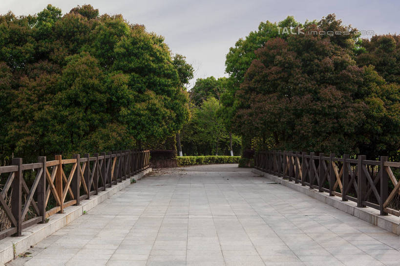 无人,栏杆,横图,室外,白天,正面,草地,草坪,美景,树林,植物,道路,路,木板,景观,围栏,小路,桥,木桥,交通,护栏,栈桥,草,树,树木,绿色,天空,自然,天,景色,生长,成长,人行桥,木板桥,自然风光,彩图,shwf1