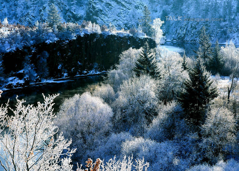 无人,横图,俯视,室外,白天,旅游,度假,美景,森林,树林,雪,植物,大雪,中国,亚洲,阴影,光线,影子,积雪,景观,雪景,冬季,冬天,娱乐,树,树木,绿色,阳光,自然,享受,休闲,景色,放松,寒冷,生长,成长,黑,自然风光,东亚,北大荒,黑龙江,黑龙江省,三江平原,中华人民共和国,严寒,东北地区,彩图,高角度拍摄,北大仓,shzwj1