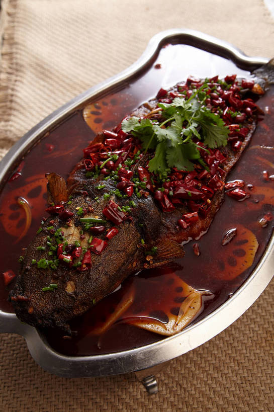 无人,竖图,俯视,室内,特写,白天,烹饪,烧烤,中餐,餐桌,桌子,鲶鱼,辣椒,蔬菜,餐具,金属制品,切开,新鲜,金属,鱼,碟子,盘,葱,青葱,香菜,烤鱼,肉,鱼肉,料理,食品,藕,菜肴,美食,肉类,鱼类,食物,一个,盘子,碟,切,中式,佳肴,有机食品,绿色食品,单个,餐台,中华料理,水生动物,川菜,水生物,剖面,肉食,切面,辣角,红海椒,大椒,辣虎,广椒,胡菜,香荽,原荽,园荽,芫荽,胡荽,莞荽,芫茜,芫蓿,莚葛草,莚荽菜,鲇鱼,四川菜,莲藕,辣子,红辣椒,海椒,番椒,彩图,高角度拍摄,淡水生物,菜藕,光旁,果藕,荷藕,湖藕,藕节,水鞭蓉,shjb1,烤鲇鱼