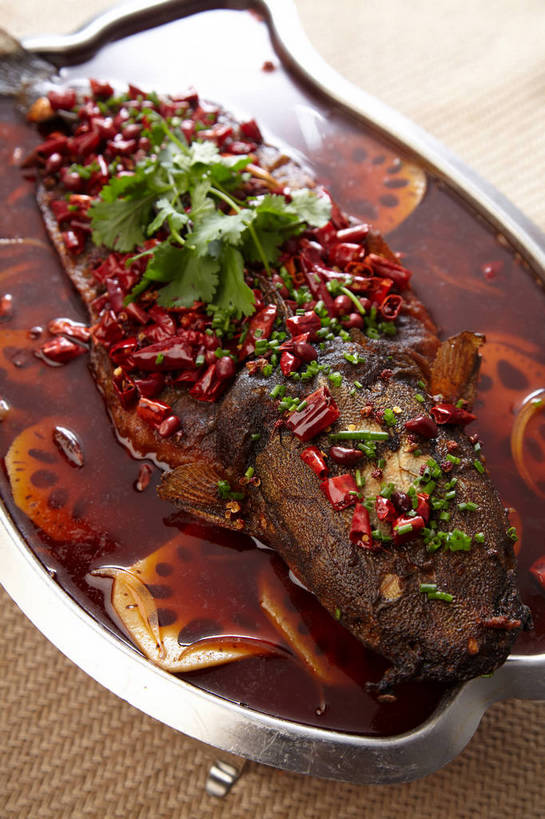 无人,竖图,俯视,室内,特写,白天,烹饪,烧烤,中餐,餐桌,桌子,鲶鱼,辣椒,蔬菜,餐具,金属制品,切开,新鲜,金属,鱼,碟子,盘,葱,青葱,香菜,烤鱼,肉,鱼肉,料理,食品,藕,菜肴,美食,肉类,鱼类,食物,一个,盘子,碟,切,中式,佳肴,有机食品,绿色食品,单个,餐台,中华料理,水生动物,川菜,水生物,剖面,肉食,切面,辣角,红海椒,大椒,辣虎,广椒,胡菜,香荽,原荽,园荽,芫荽,胡荽,莞荽,芫茜,芫蓿,莚葛草,莚荽菜,鲇鱼,四川菜,莲藕,辣子,红辣椒,海椒,番椒,彩图,高角度拍摄,淡水生物,菜藕,光旁,果藕,荷藕,湖藕,藕节,水鞭蓉,shjb1,烤鲇鱼