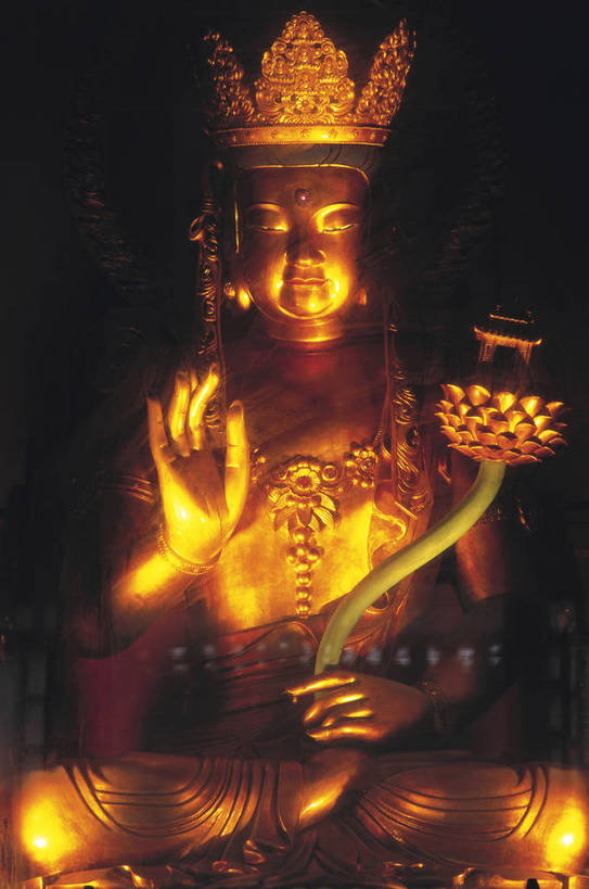 寺庙,竖图,彩色,室内,白天,旅游,度假,名胜古迹,标志建筑,地标,建筑,上海,中国,局部,遗迹,佛像,古迹,文化,文物,娱乐,建设,佛,古建筑,享受,休闲,旅游胜地,放松,竖,摄影,古代建筑,部分,矗立,镀金,文明,耸立,古文明,龙华寺,挺立,彩图,旅行,庙,传统文化,bj174