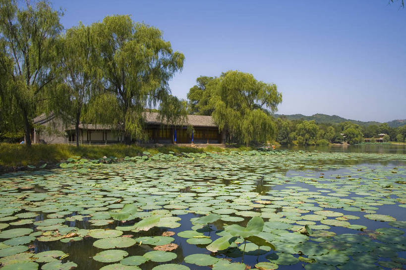 宫殿,横图,室外,白天,湖,植物,建筑,柳树,避暑山庄,中国,亚洲,荷叶,历史,古代,倒影,自然,旅游胜地,摄影,东亚,世界文化遗产,中华人民共和国,华北地区,河北,河北省,冀,承德,承德市,古远,展馆,麋鹿,彩图,承德避暑山庄,承德离宫,热河行宫,bj174