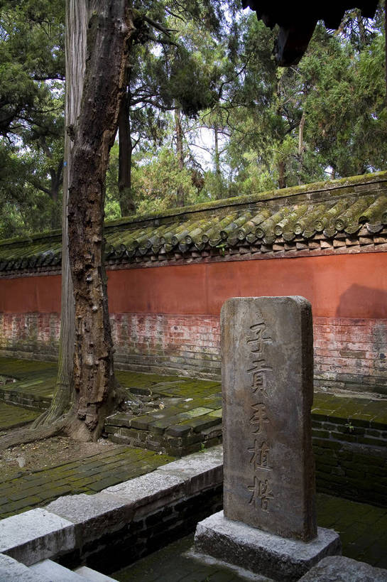 寺庙,竖图,彩色,室外,特写,白天,旅游,度假,石头,名胜古迹,标志建筑,地标,建筑,雕塑,中国,局部,风俗,遗迹,艺术,装饰,标志,雕刻,雕像,浮雕,石子,文字,字符,文化遗产,纪念碑,艺术品,古迹,历史,文物,娱乐,标识,建设,传统,古建筑,石雕,石刻,建筑物,古代,石碑,工艺品,享受,休闲,汉字,旅游胜地,放松,精神,竖,摄影,纪念,美术,中国文化,中文,主题,陈列,古文明,山东省,济南,功能,美学,国文,华文,古远,制度,石,石块,彩图,旅行,庙,寺,孔林,纪念塔,传统文化,bj174