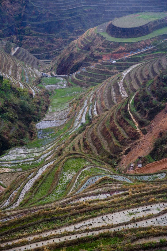 农田,竖图,室外,白天,旅游,度假,农业,梯田,名胜古迹,田园,标志建筑,地标,建筑,中国,亚洲,遗迹,民俗,景观,文化遗产,古迹,文物,娱乐,建设,古建筑,特色,自然,享受,休闲,旅游胜地,景色,放松,竖,人文景观,广西,矗立,耕作,中国文化,耸立,古文明,东亚,龙胜,龙脊梯田,中华人民共和国,挺立,古代文明,旅行,传统文化,bj174