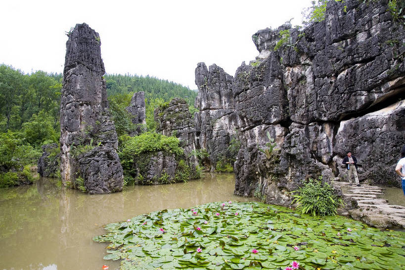 横图,彩色,室外,白天,旅游,度假,名胜古迹,标志建筑,地标,建筑,黄果树,黄果树瀑布,中国,亚洲,遗迹,图片,水潭,古迹,文物,娱乐,建设,古建筑,树木,自然,享受,休闲,旅游胜地,景色,放松,摄影,美好,自然风光,古文明,东亚,贵州,贵州省,安顺,中华人民共和国,安顺市,黔,西南地区,天星桥,黄果树大瀑布,山石,溪,旅行,天星桥景区,镇宁布依族苗族自治县,镇宁县,bj174