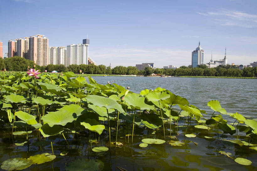 公园,横图,彩色,室外,白天,旅游,度假,名胜古迹,城市风光,标志建筑,地标,建筑,北京,中国,亚洲,遗迹,都市,古迹,文物,娱乐,建设,古建筑,荷花池,自然,享受,休闲,远景,旅游胜地,放松,摄影,荷塘,古文明,东亚,中华人民共和国,旅行,城市公园,莲花池公园,bj174