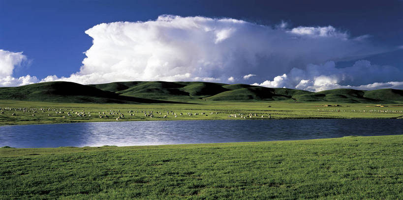 横图,彩色,室外,白天,旅游,度假,草地,草原,草坪,河流,名胜古迹,植物,标志建筑,地标,建筑,马,羊,中国,亚洲,放牧,遗迹,壮观,帐篷,景观,云,美丽,古迹,文物,娱乐,建设,古建筑,西藏,草,绿色,白云,蓝天,天空,自然,享受,休闲,远景,旅游胜地,放松,摄影,人文景观,湿地,美好,古文明,东亚,游牧,中华人民共和国,那曲,幽静,旅行,草甸,bj174