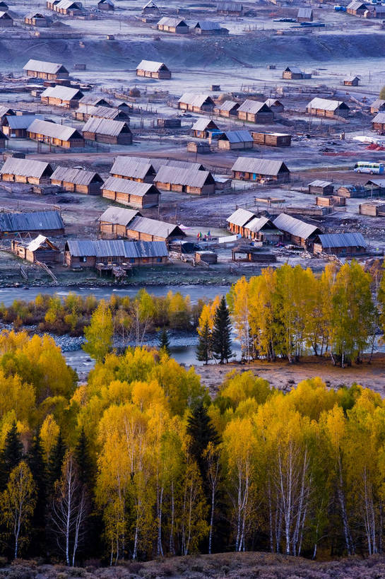 无人,竖图,彩色,室外,白天,旅游,度假,草原,名胜古迹,树林,标志建筑,地标,建筑,中国,亚洲,遗迹,古迹,文物,娱乐,建设,古建筑,民居,树,自然,村庄,享受,休闲,旅游胜地,放松,竖,摄影,自然风光,杉树,古文明,东亚,新疆,中华人民共和国,阿勒泰,旅行,居住区,禾木,bj174