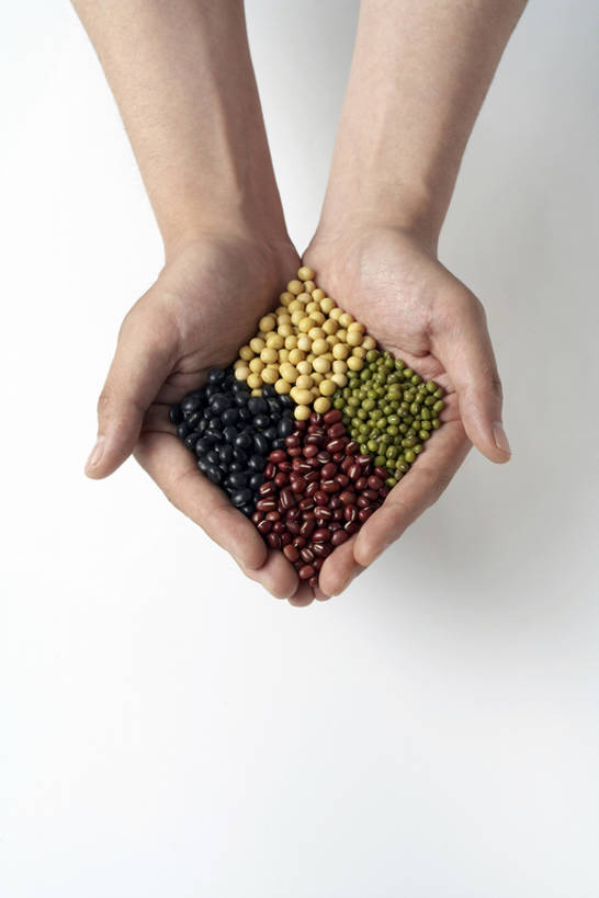 成年人,手,手掌,一个人,竖图,俯视,彩色,特写,留白,白色背景,农业,农作物,豆,大豆,一把,许多,握,丰富,谷物,黑豆,生食,美味,食品,很多,钻石,主食,饮食,排列,绿色,自然,手指,握着,摄影,有机食品,多样,五颜六色,色彩斑斓,简单,清新,选择,五彩缤纷,健康食物,豆科植物,菜豆,五彩斑斓,式样,利马豆,五光十色,白种人,年轻人,捧着,彩图,高角度拍摄,影棚拍摄,bj175