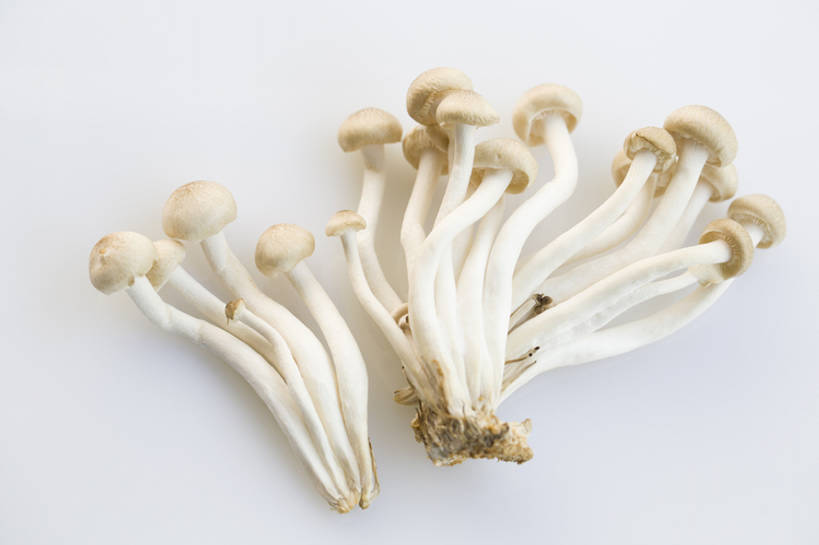 无人,横图,特写,留白,抠图,蔬菜,静物,北京,中国,亚洲,准备,灰色背景,丰富,材料,蘑菇,生食,美味,食品,饮品,营养,饮食,餐饮,食物,饮料,健康,素食,食用菌,摄影,有机食品,维生素,真菌,膳食,可口,清新,东亚,健康食物,姬菇,适口,蟹味菇,彩图,高角度拍摄,影棚拍摄,bj175