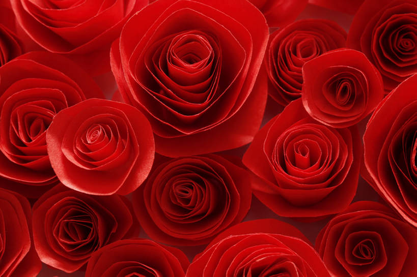 无人,横图,特写,婚礼,快乐,幸福,运气,热情,玫瑰,静物,礼物,情人节,许多,庆祝,艺术,装饰,盛开,鲜艳,纸,缎带,很多,结婚,浪漫,祝福,花蕾,花,花瓣,花朵,鲜花,红色,纸花,纸制品,花苞,花蕊,一束,喜庆,摄影,纪念,光滑,创造力,高雅,优美,清新,细腻,平滑,式样,想法,美术工艺,设计,彩图,影棚拍摄,爱,高兴,立体图形,全画幅,bj175