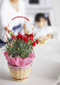 tkf001_101292