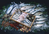 tkf001_108329
