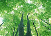 tkf001_108466