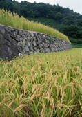 tkf001_109995