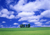 tkf001_110462